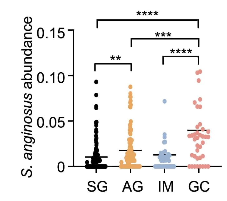 Open access visualization of Scatter Plot, Streptococcus Anginosus, Gastric Biopsies, Superficial Gastritis, Atrophy Gastritis