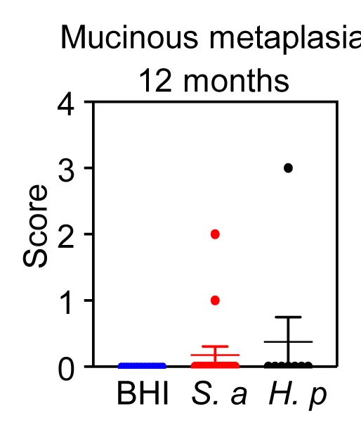 Open access visualization of Scatter Plot, Error Bars, Histological Analysis, Stomach, Mice