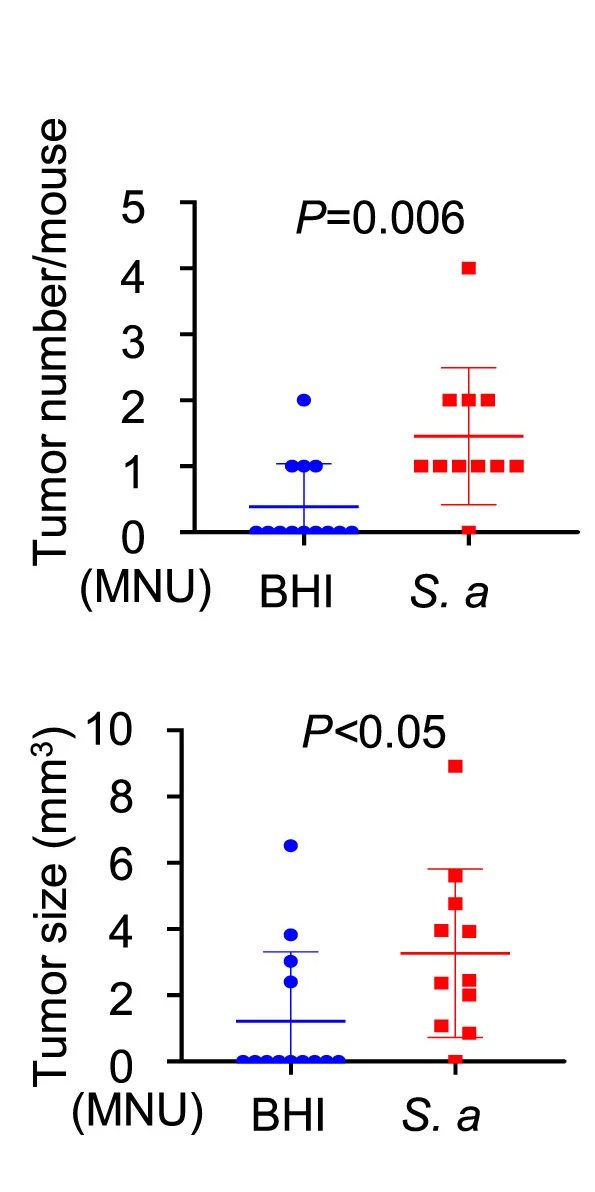 Open access visualization of Scatter Plot, Error Bars, Tumor Multiplicity, Tumor Size, S. Anginosus