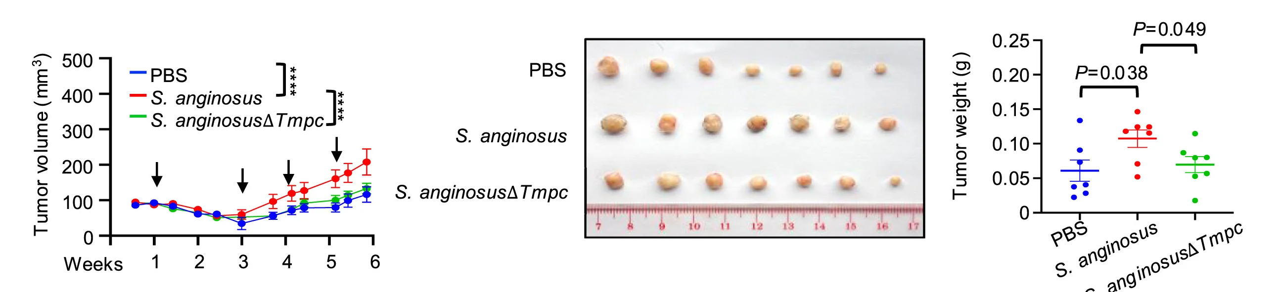 Open access visualization of Line Plot, Error Bars, Scatter Plot, Photo, Tumor Growth Curve