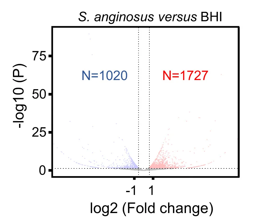 Open access visualization of Scatter Plot, RNA Sequencing, Differentially Expressed Genes, Stomach, S. Anginosus