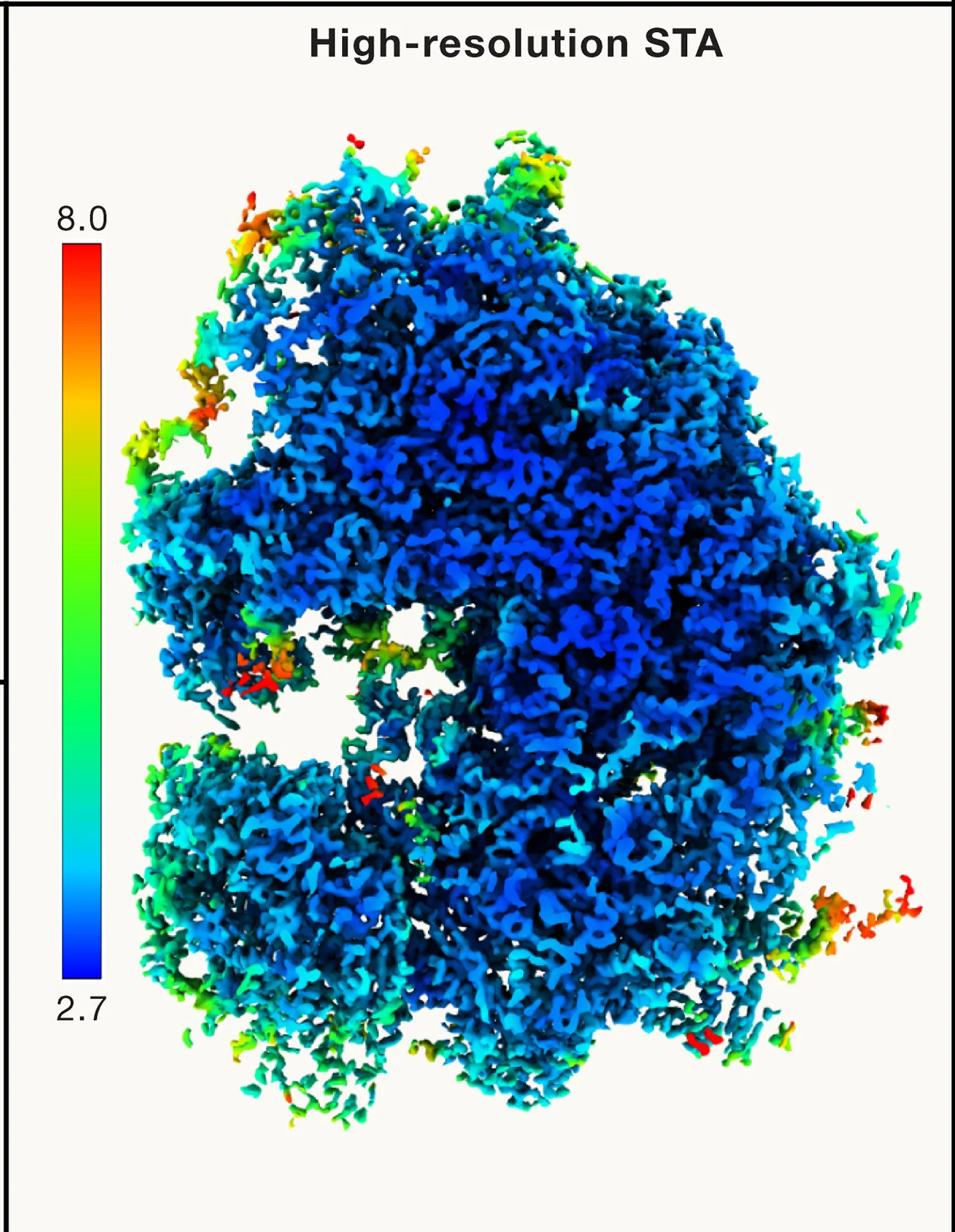 Open access visualization of Protein Structure, High-Resolution STA, 80S Ribosomes, Human Cells, WARP-RELION-M