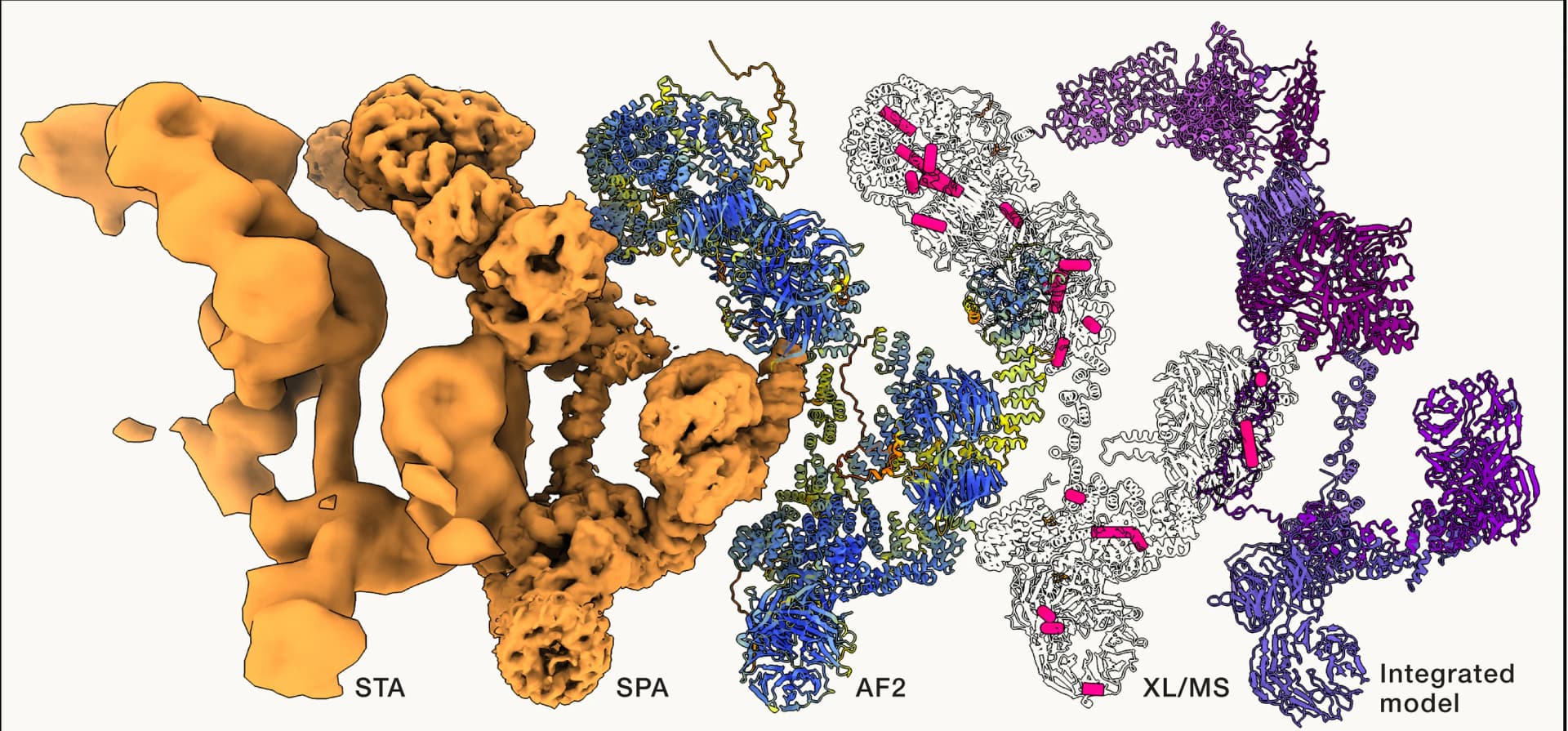 Open access visualization of Protein Structure, Structural Data, IFT-A, Cilium, STA Map