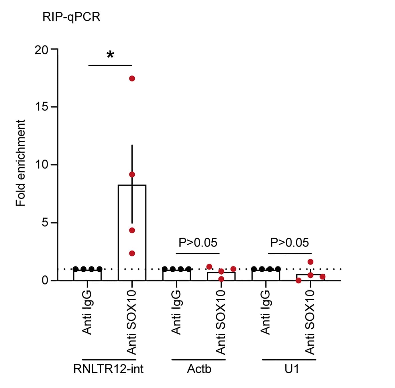 Open access visualization of Bar Plot, Scatter Plot, Error Bars, RT-qPCR, RIP