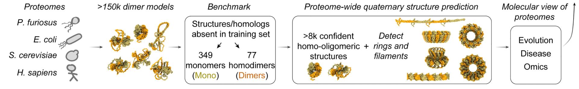 Open access visualization of Workflow, Illustration, Data Flow, Dimer Structures, Protein Structures