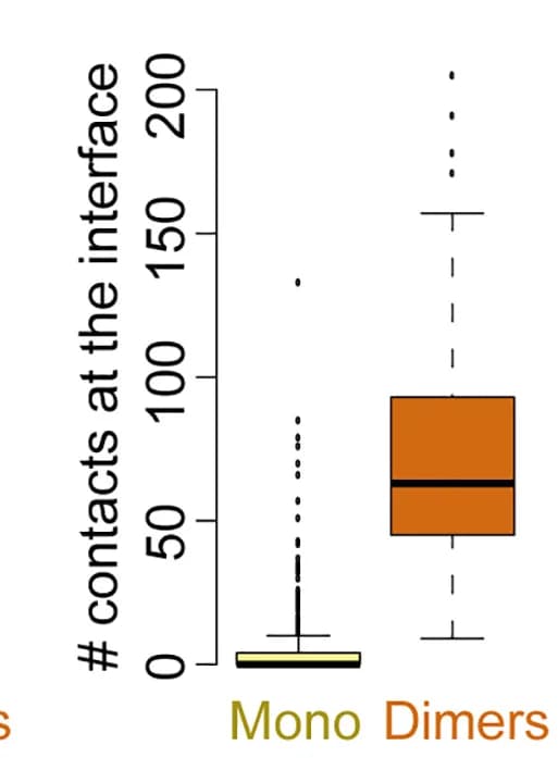 Open access visualization of Box Plot, Residue-Residue Contacts, Subunits, Dimers, Monomers