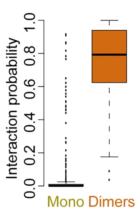Open access visualization of Box Plot, Predicted Aligned Error, PAE, Interface Contacts, Logistic Regression