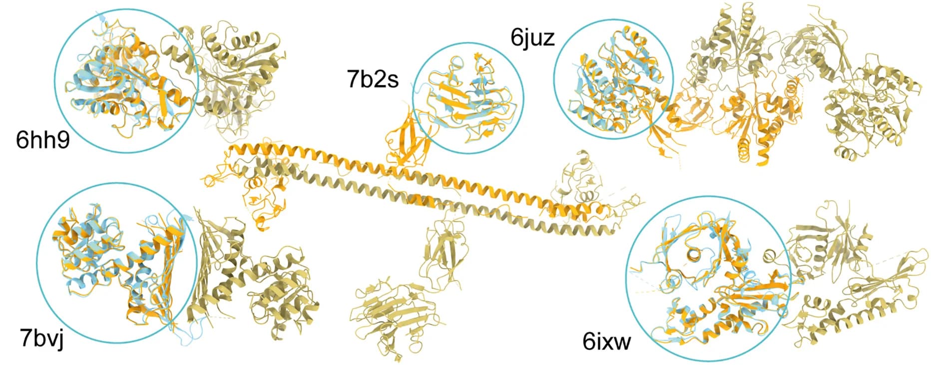Open access visualization of Protein Structure, Experimental Structure, Monomers, Predictions, Dimers