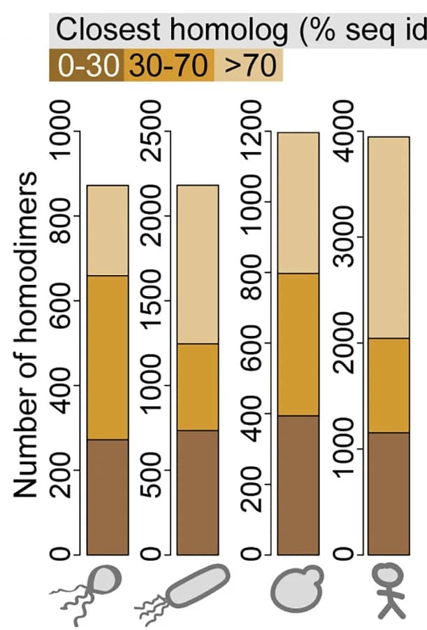 Open access visualization of Stacked Bar Plot, Dimers, Datasets, Structures