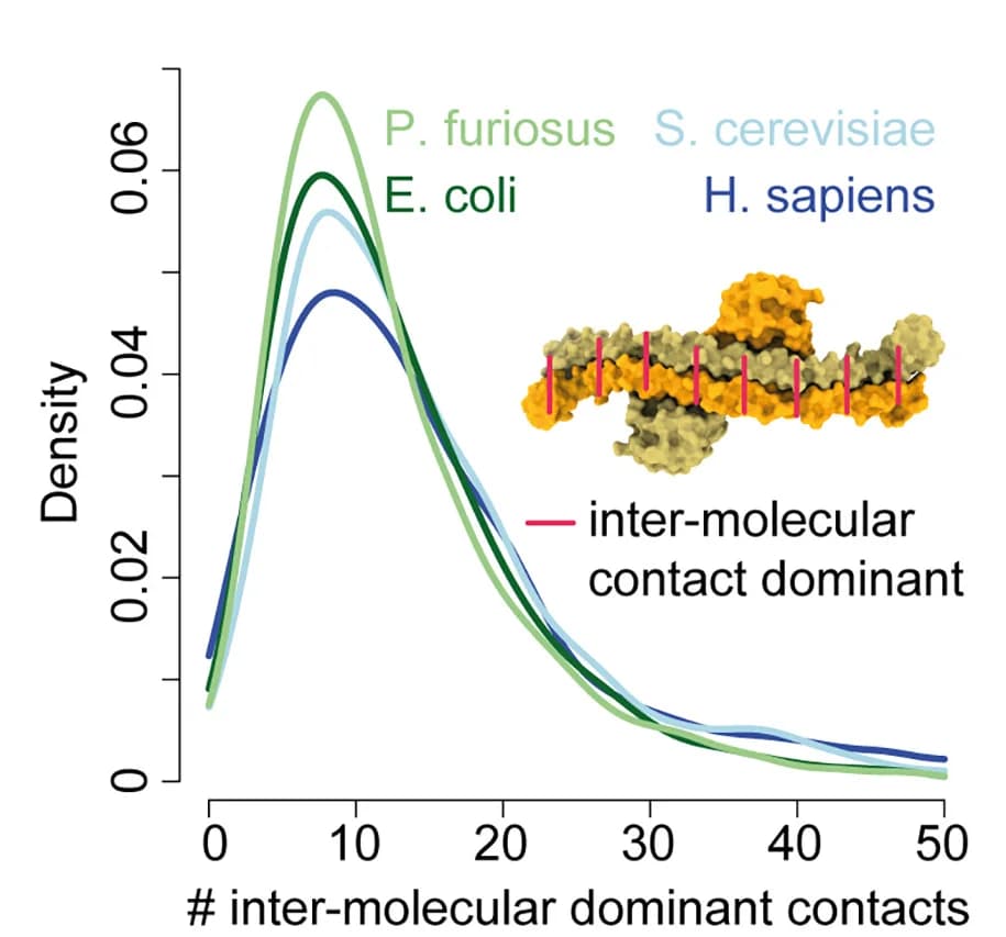 Open access visualization of Line Plot, Density Plot, Protein Structure, Intermolecular Contacts, Datasets