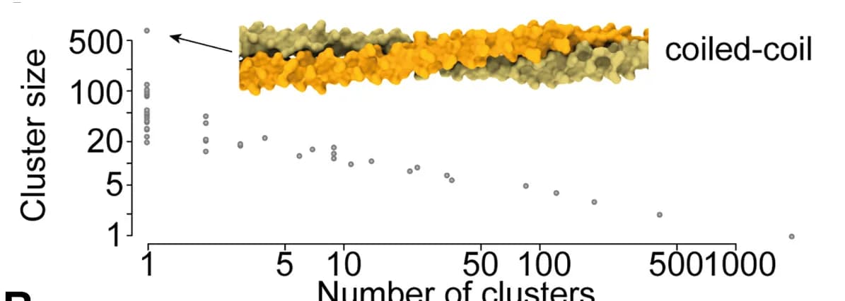 Open access visualization of Scatter Plot, Protein Structure, Dimer Models, Structural Similarity, Clusters