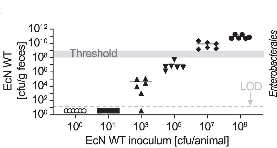 Open access visualization of Scatter Plot, Colony Forming Units, Feces, Mice, E. coli Nissle 1917