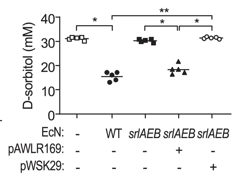 Open access visualization of Scatter Plot, Minimal Medium, Sorbitol, E. Coli Nissle 1917, Plasmid