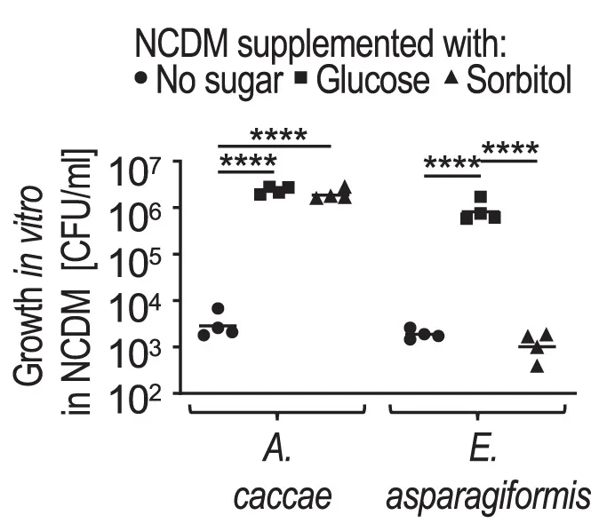 Open access visualization of Scatter Plot, In Vitro, Anaerobic Growth, A. Caccae, No-Carbon Defined Medium
