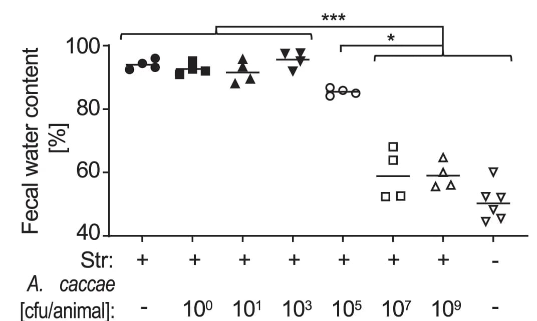 Open access visualization of Scatter Plot, Fecal Water Content, Fecal Pellets, Mice, A. Caccae