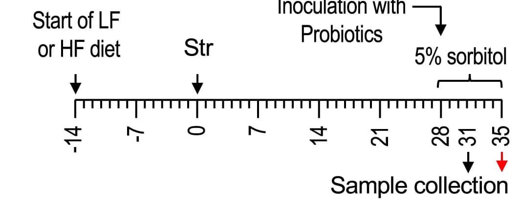Open access visualization of Workflow, Flowchart, Experimental Groups, Time Points