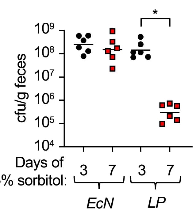 Open access visualization of Scatter Plot, CFU, E. coli Nissle 1917, Lactiplantibacillus plantarum