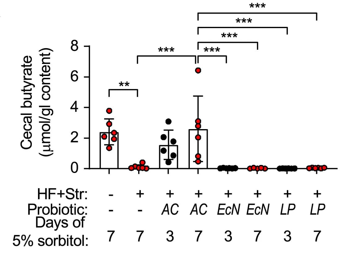 Open access visualization of Bar Plot, Error Bars, Scatter Plot, Butyrate, Cecal Contents