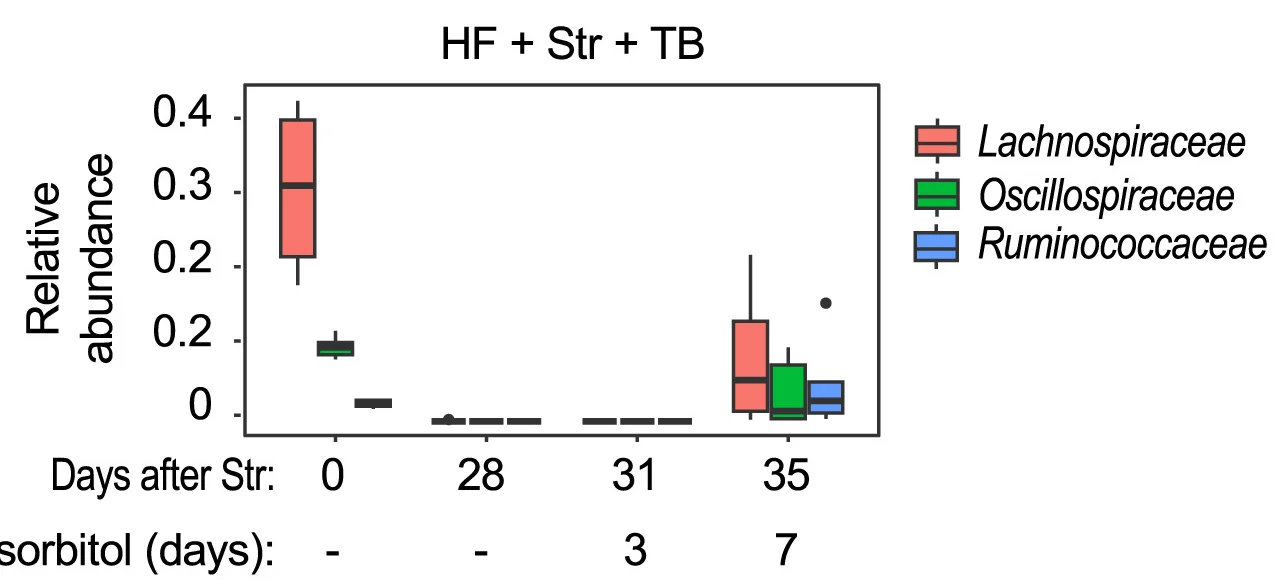 Open access visualization of Box Plot, Clostridia Families, Butyrate Metabolism, Box Plots