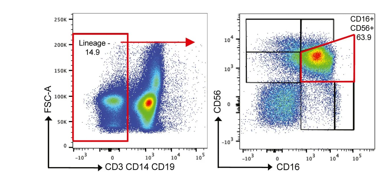 Open access visualization of Scatter Plot, Flow Cytometry, Natural Killer Cells, Cytotoxic NK Cells, CD16