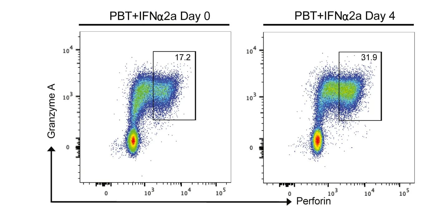 Open access visualization of Scatter Plot, Flow Cytometry, CD8+ T Cells, Perforin, Granzyme A