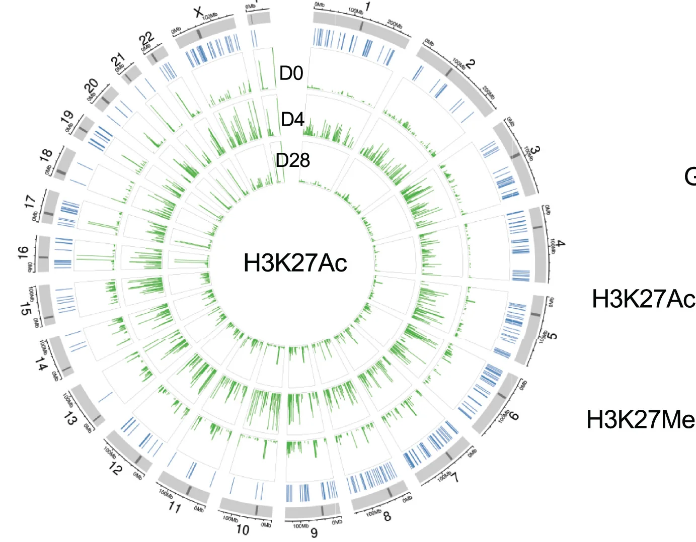 Open access visualization of Line Plot, HIV-1 Integration Sites, Human Genome, H3K27ac Peaks, ACTIVATE Study
