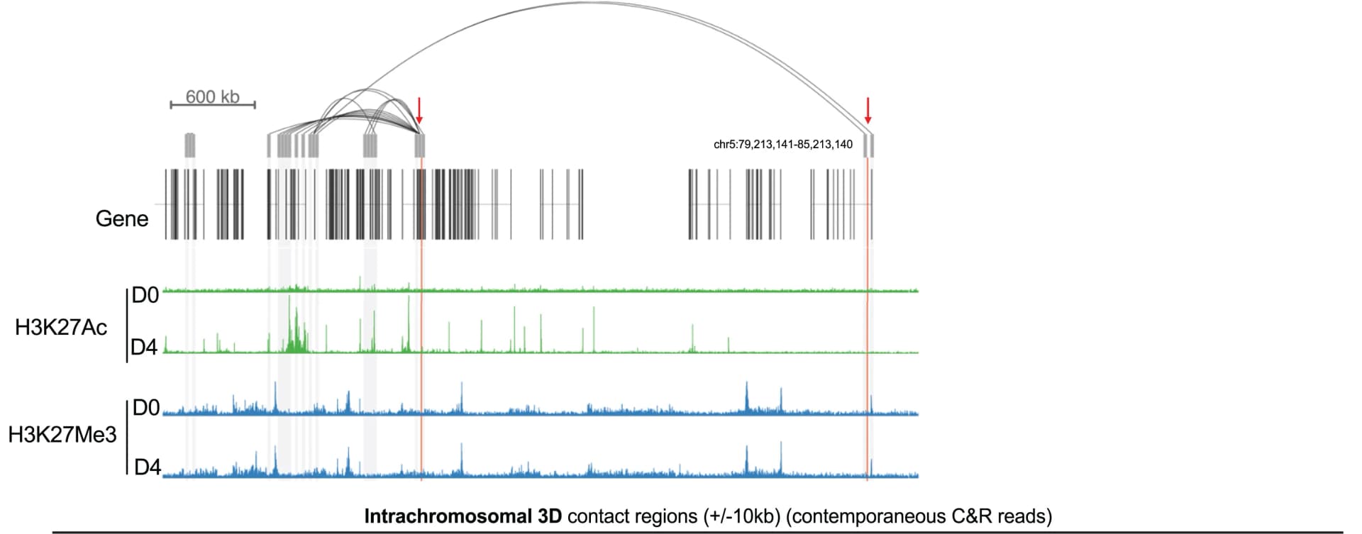 Open access visualization of Line Plot, Genome Browser Snapshot, Intra-chromosomal Contact Regions, HIV-1 Integration Sites, Cut & Run Seq