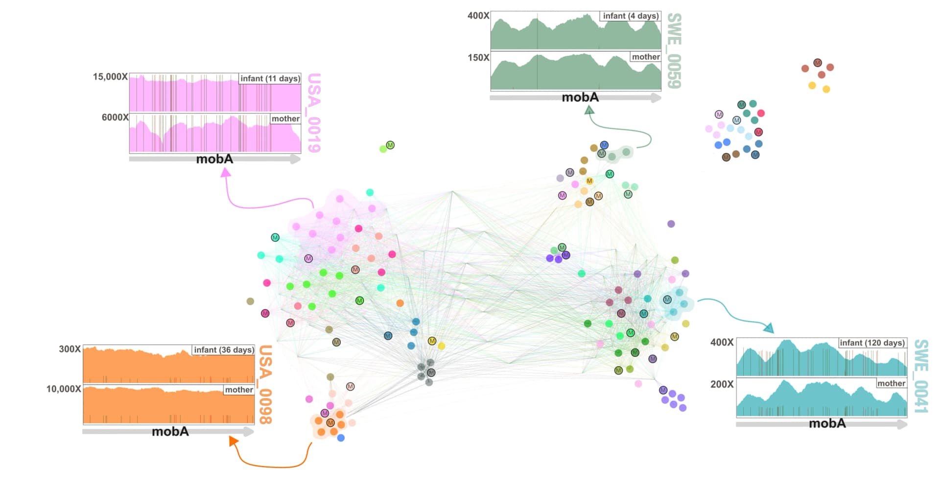 Open access visualization of Network, Line Plot, Metagenomes, SNVs, Coverage Plots