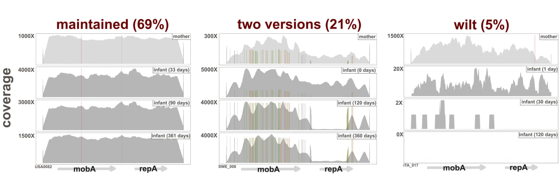 Open access visualization of Line Plot, Line Step, Coverage Plots, Plasmids, Mothers
