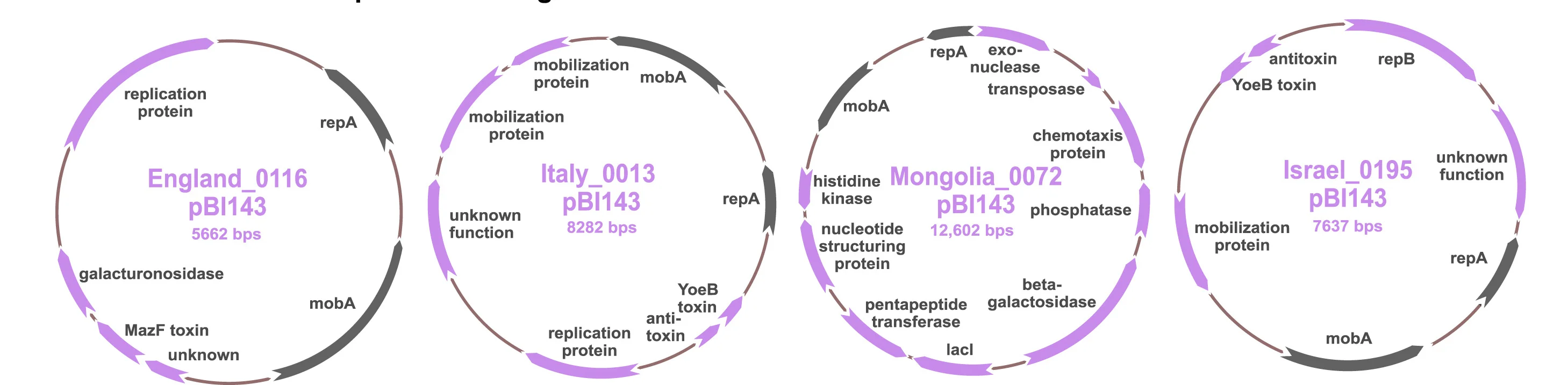 Open access visualization of Workflow, Illustration, pBI143, Metagenomes, Cargo Genes