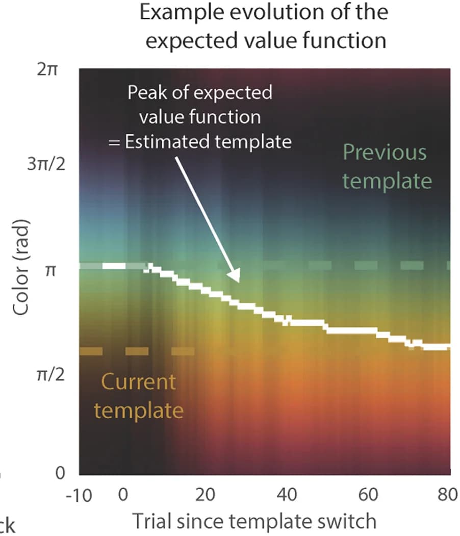 Open access visualization of Line Step, Heatmap, Expected Value Distribution, Learning, Template