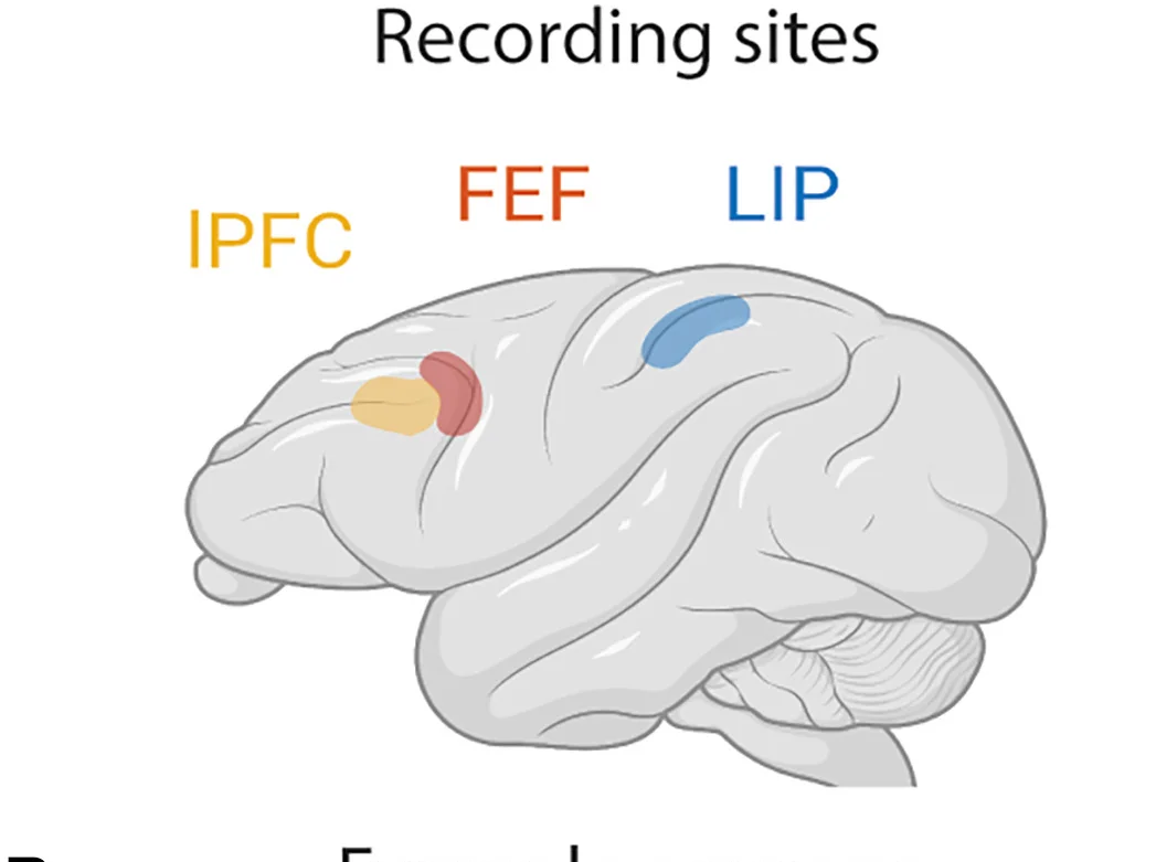 Open access visualization of Illustration, Recording Sites