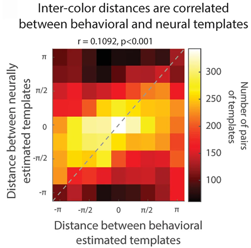 Open access visualization of Heatmap, Histogram, Neural Template, Behavioral Template, Circular Distance