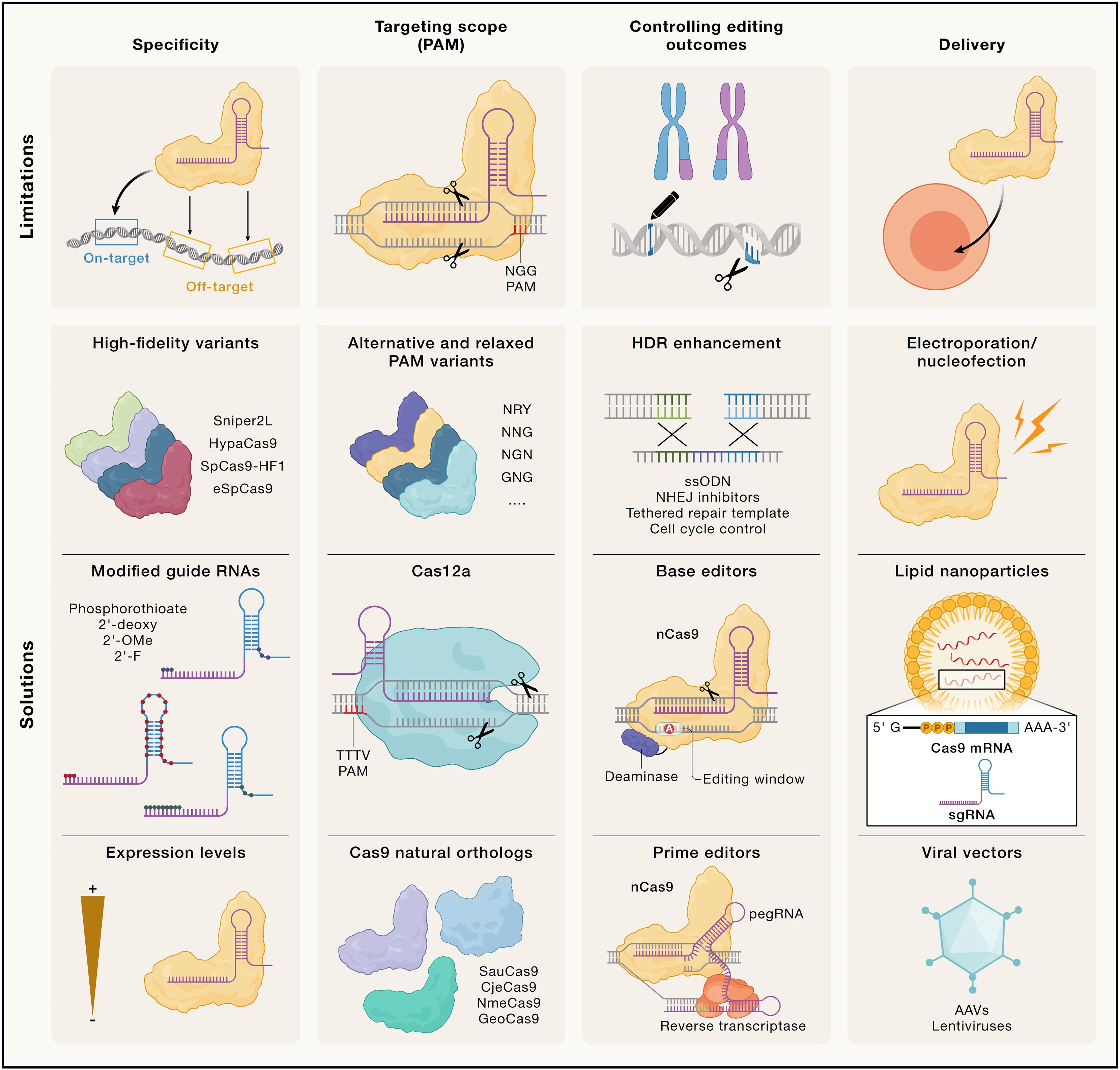 Open access visualization of Workflow, Illustration, CRISPR, Genome Editing, Specificity