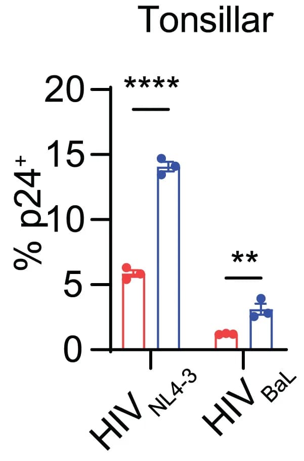 Open access visualization of Bar Plot, Error Bars, Scatter Plot, Clustered, CARD8-KO