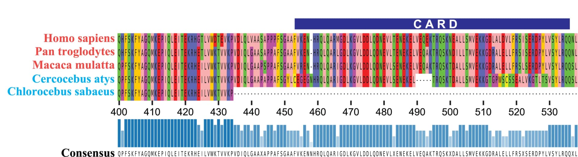 Open access visualization of Bar Plot, Protein Alignment, CARD Domains, FIIND Domains, Pathogenicity Status