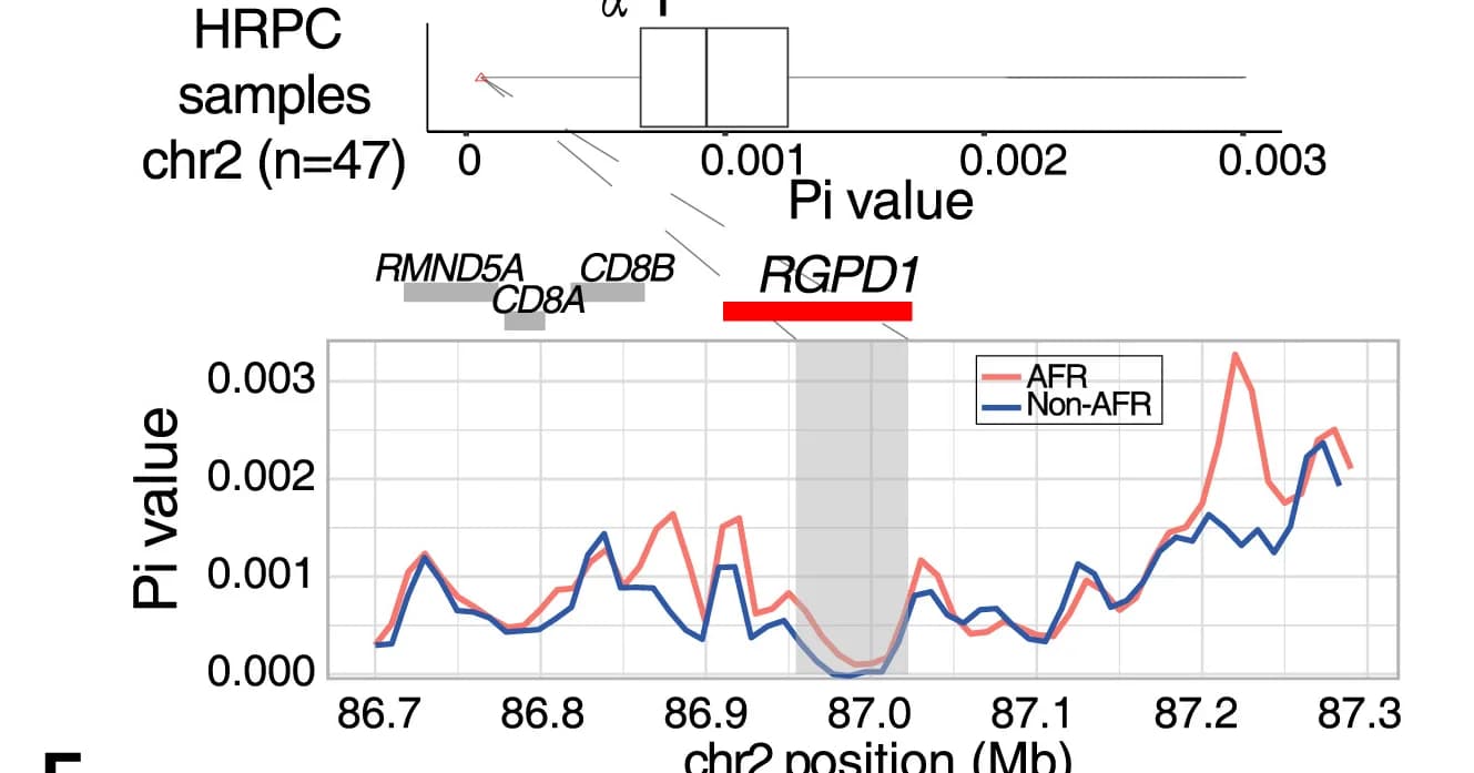 Open access visualization of Line Plot, Box Plot, AlphaFold, Protein Structure, hRANBP2