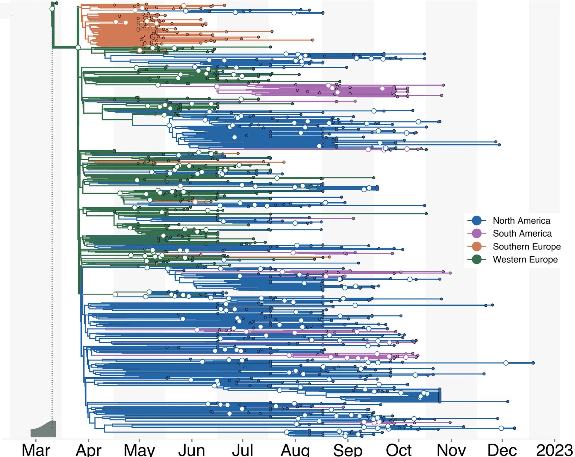 Open access visualization of Line Plot, Phylogenetic Tree, Bayesian Inference, Discrete Trait Analysis, Skygrid Prior