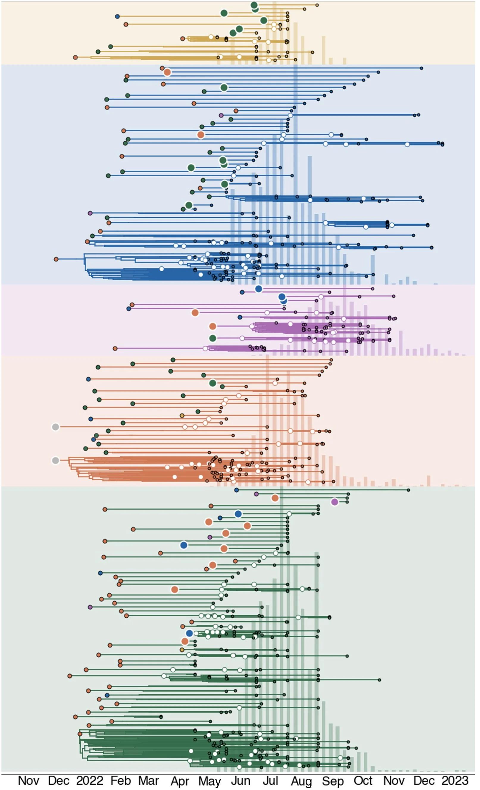 Open access visualization of Line Plot, Scatter Plot, Histogram, MCC Tree, Bayesian Inference