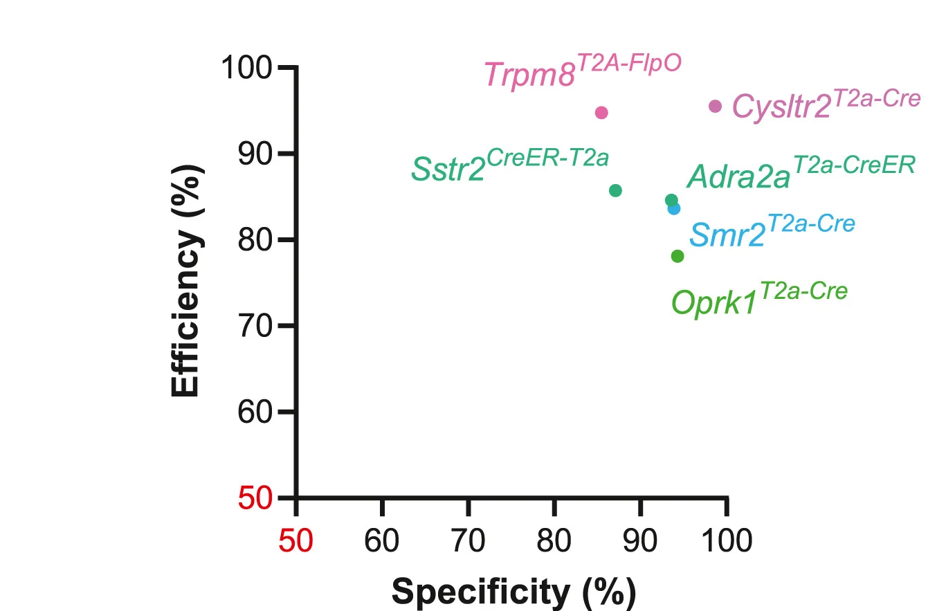 Open access visualization of Scatter Plot, Specificity, Efficiency, Genetic Tools, Labeling Strategies