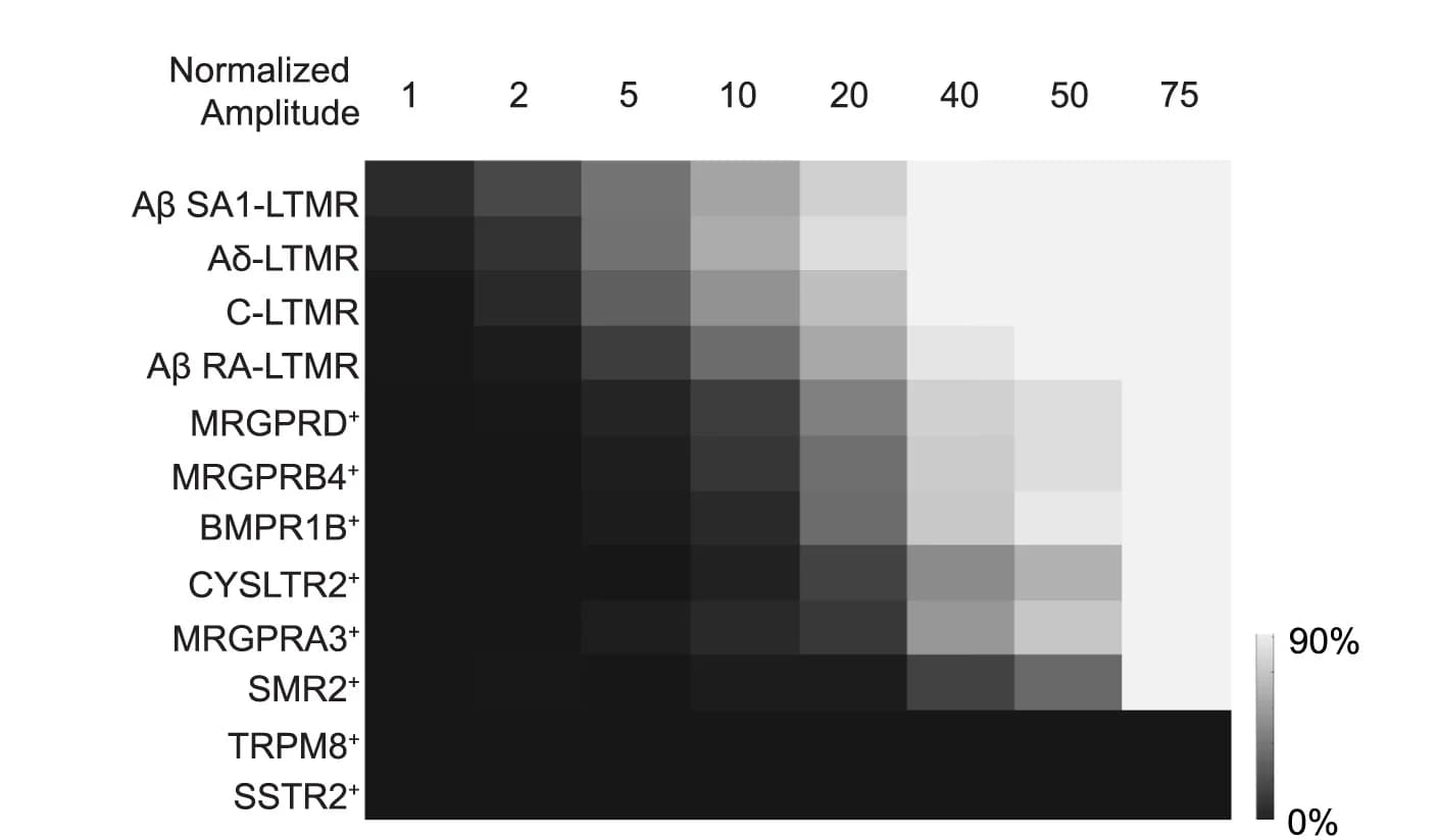 Open access visualization of Heatmap, Response Amplitudes, DRG Subtype, Indentation Forces, TRPM8+ Neurons