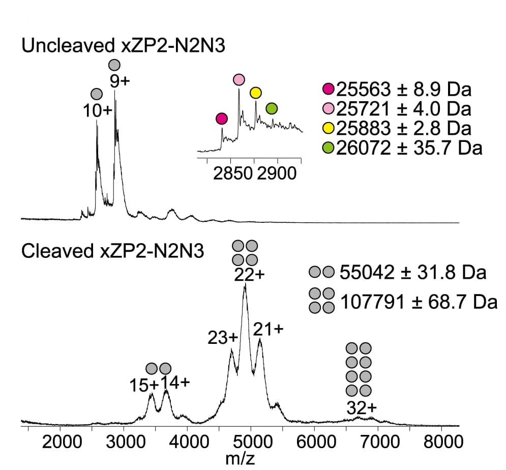 Open access visualization of Line Plot, Mass Spectrometry, MS