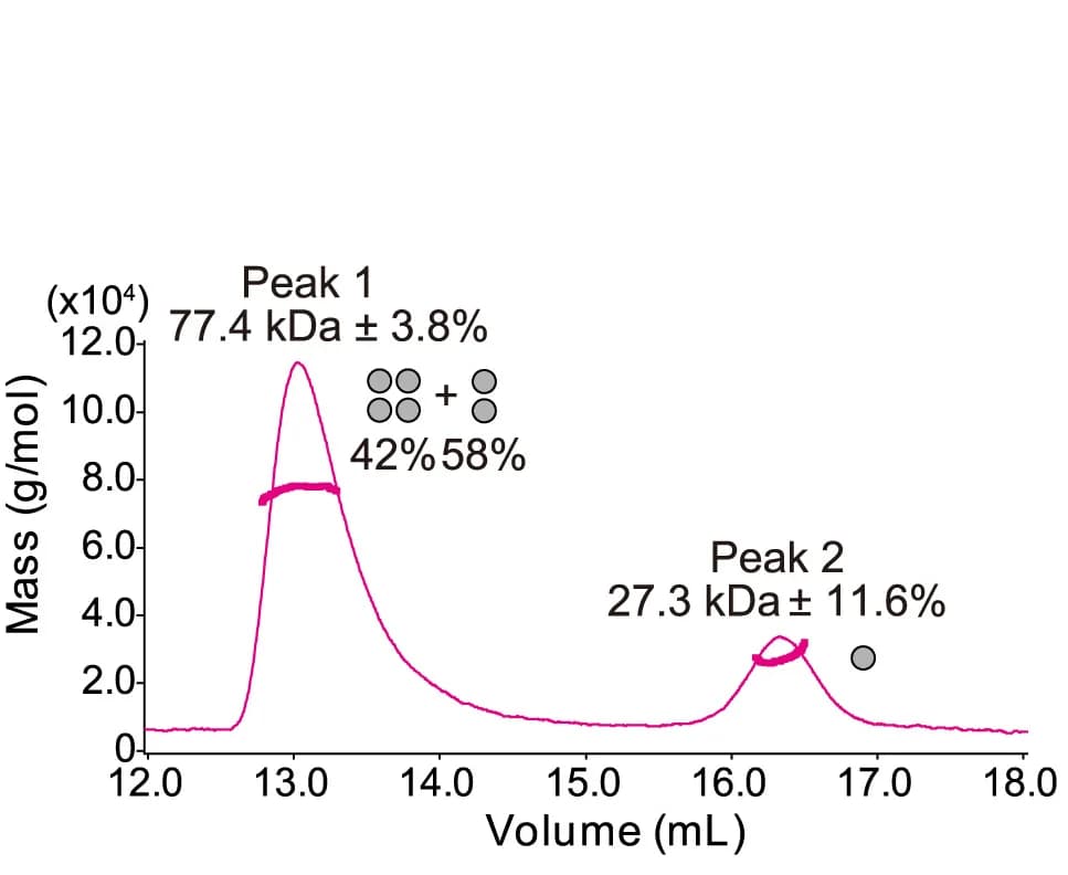 Open access visualization of Line Plot, SEC-MALS