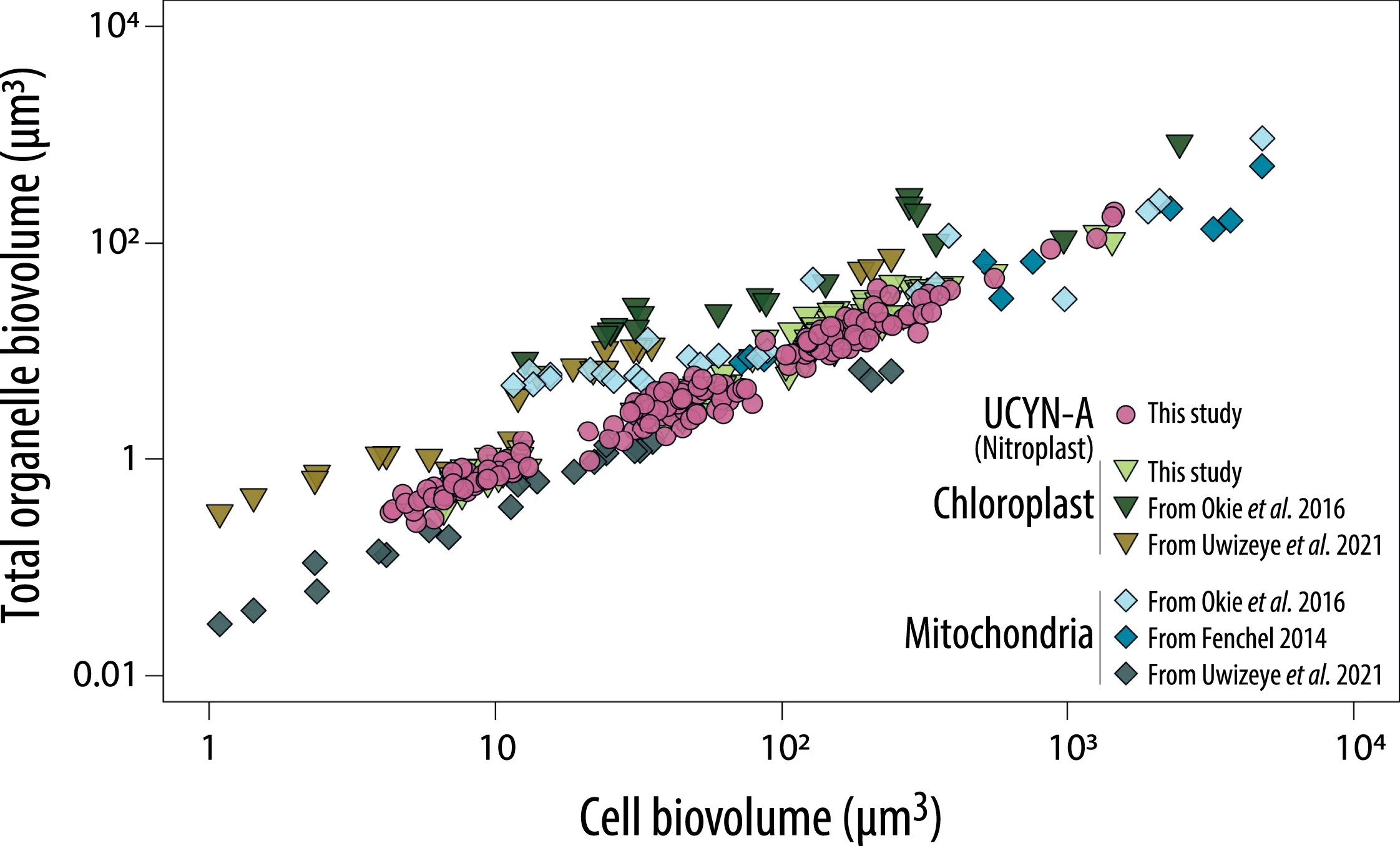 Open access visualization of Scatter Plot, Chloroplasts, Mitochondria, Cell Volumes, Protists