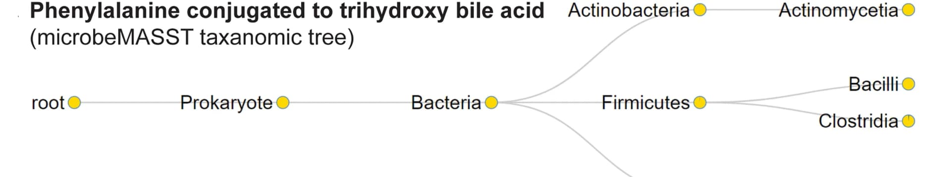 Open access visualization of Network, Pathway, microbeMASST, Phenylalanine, Tri-hydroxylated Bile Amidate