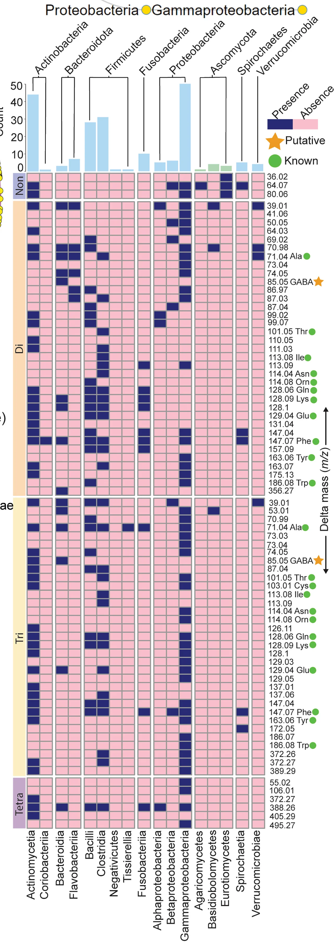 Open access visualization of Bar Plot, Heatmap, Bile Amidates, Microbial Cultures, Fungal Cultures
