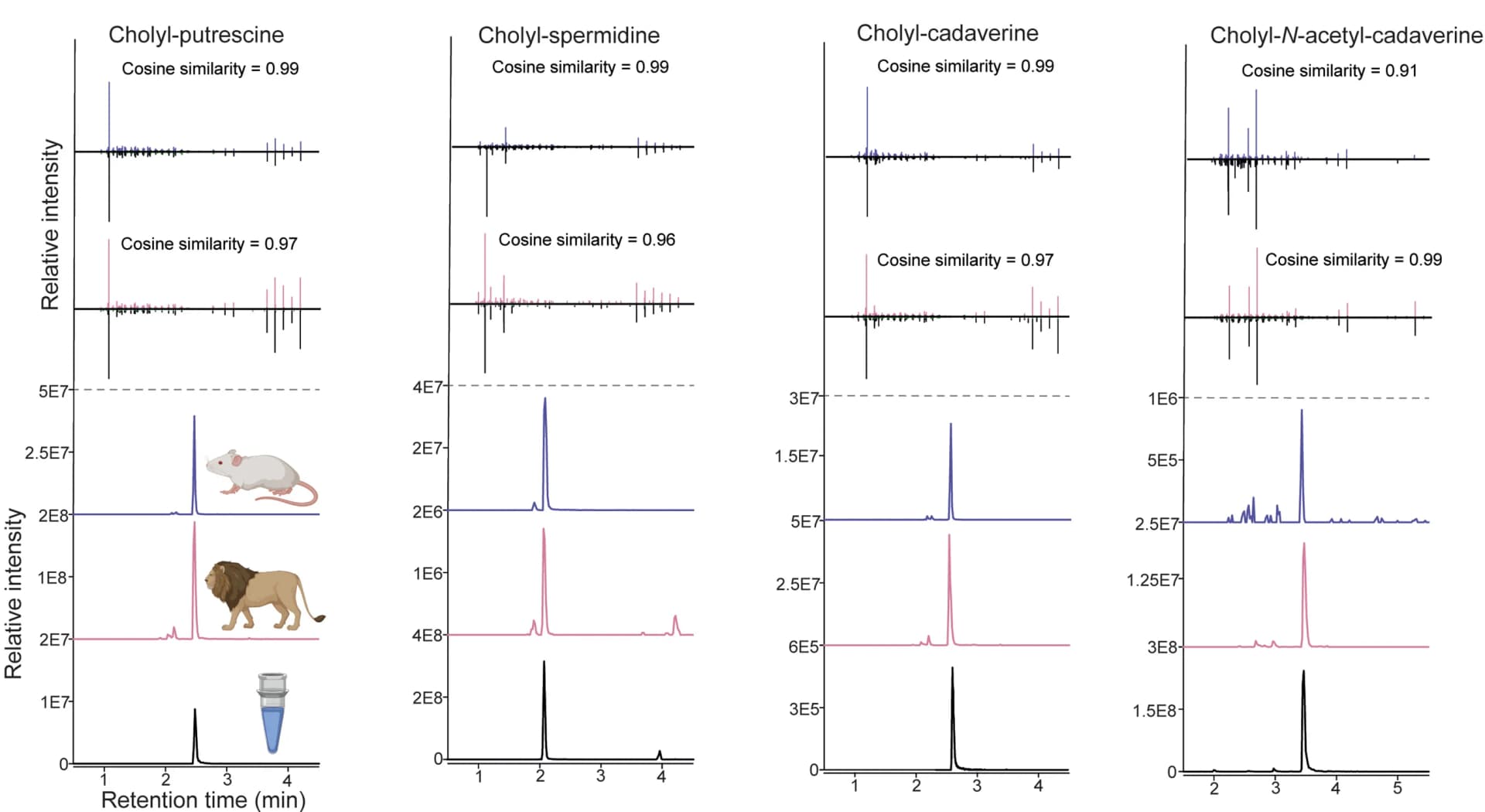 Open access visualization of Line Plot, Bar Plot, MS/MS Spectra, Retention Time, Polyamine Cholic Acid Amidates