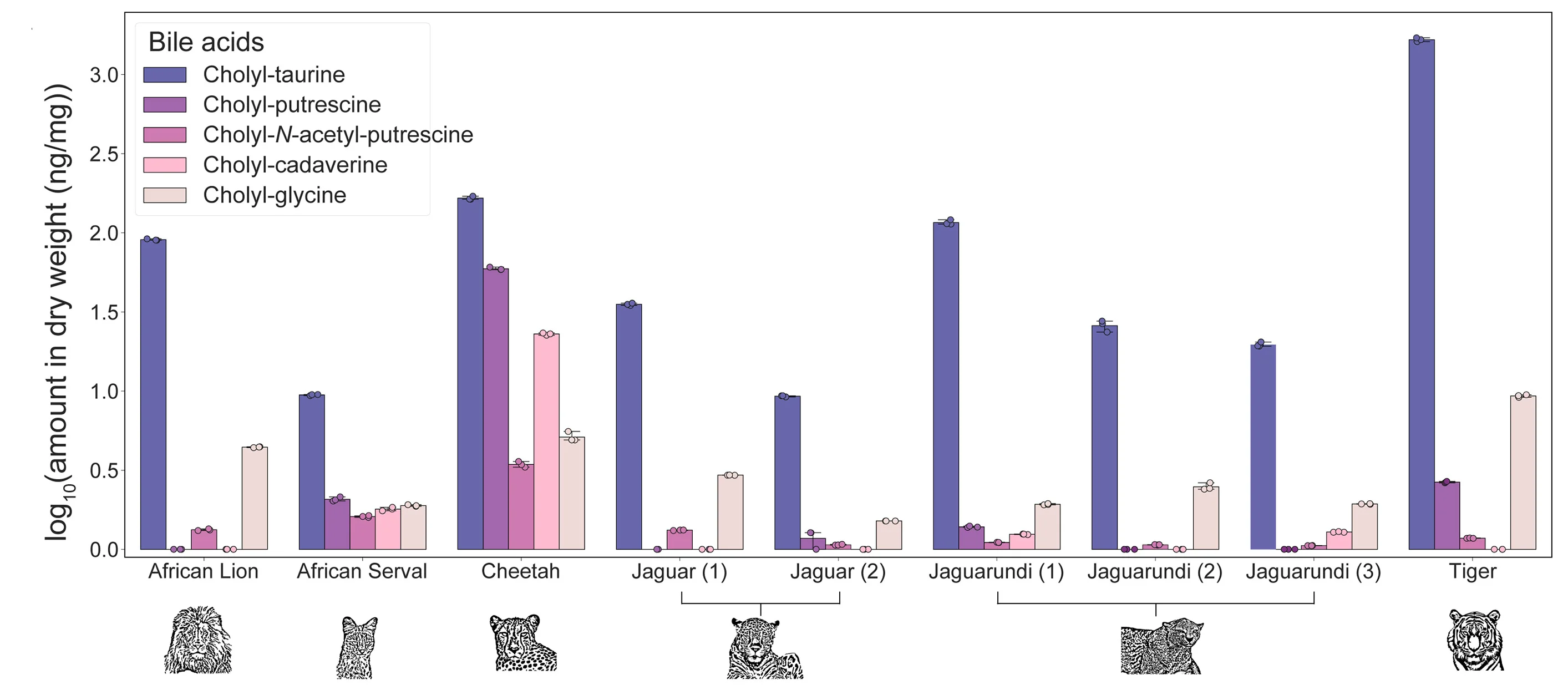 Open access visualization of Bar Plot, Error Bars, Clustered, Polyamine Bile Amidates, Fecal Material