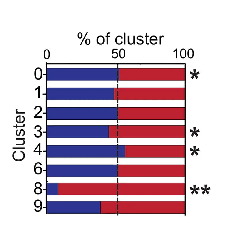Open access visualization of Bar Plot, Cluster Composition, Control Hemisphere, Deprived Hemisphere
