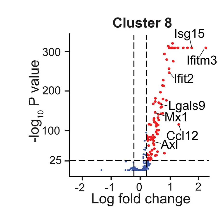 Open access visualization of Scatter Plot, Volcano Plot, Differentially Expressed Genes, Cluster 8